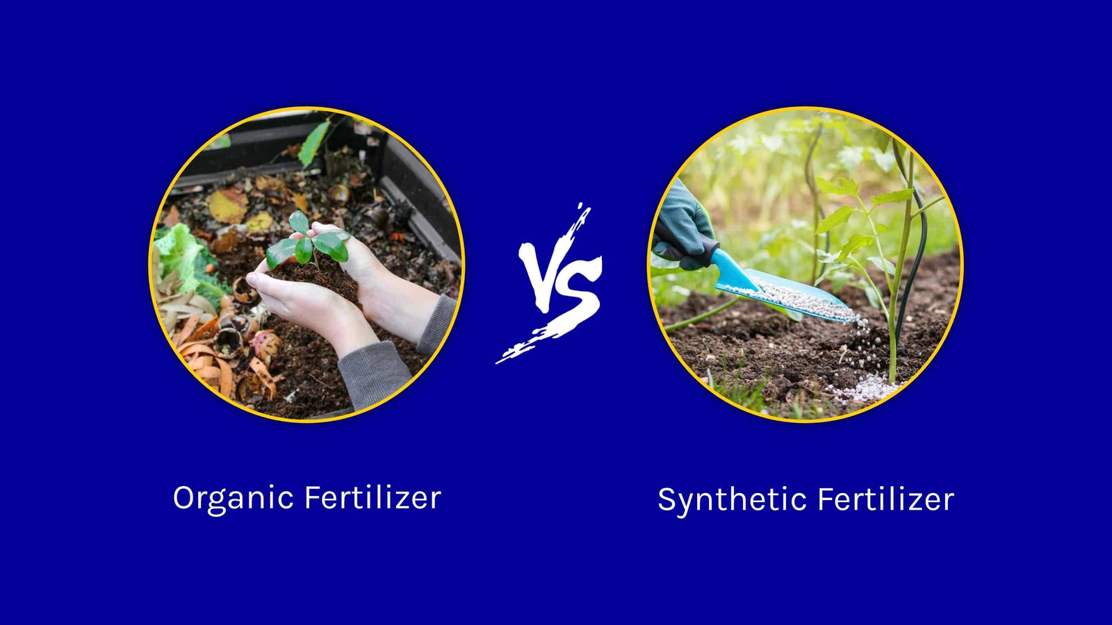 Organic Fertilizer Bio Fertilizer vs Synthetic Fertilizer vivicrop